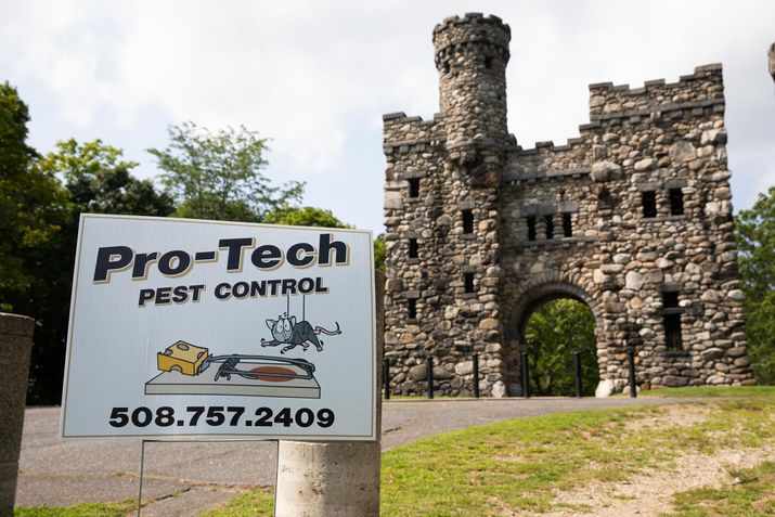 Pro-Tech helped out a castle