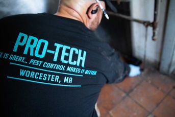 Pro-Tech employee working in a home