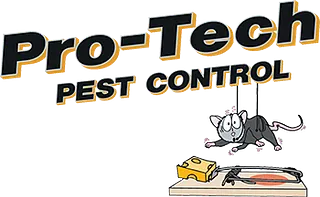 Pro-Tech Logo