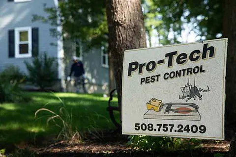 Pro-Tech helped out a castle